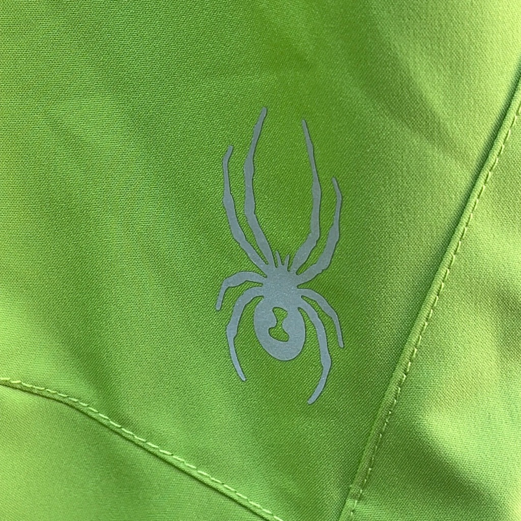 Spyder Ski Pants - Boys (20)